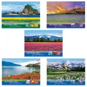 Альбом для рисования, А4, 32 листа, скоба, обложка картон, HATBER VK, 205х290 мм, 'Мир в цветах', 32А4С, A212561