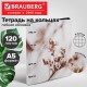 Тетрадь на кольцах А5, 175х215 мм, 120 л., под кожу, BRAUBERG VISTA, 'Elegant', 405211