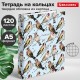 Тетрадь на кольцах А5 (175х215 мм), 120 листов, твердый картон, клетка, BRAUBERG, Щеглы, 404079