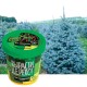 Набор для выращивания растений ВЫРАСТИ ДЕРЕВО! 'Ель канадская голубая' (банка, грунт, семена), zk-048