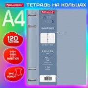 Тетрадь на кольцах БОЛЬШАЯ А4 (240х310 мм), 120 л., под кожу, BRAUBERG VISTA, 'Пастельная', 404514