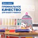 Мешок для обуви BRAUBERG, с петлей, светоотражающая полоса, 2 отделения, 46х36 см, 'Дружба котиков', 273449