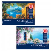 Альбом для рисования, А4, 40 листов, гребень, обложка картон, BRAUBERG, 205х290 мм, 'Пейзаж с цветами' (2 вида), 103730