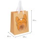 Пакет подарочный (1 штука) 18х10х23 см (M), 'Fluffy Tail', ассорти, пушистый хвостик, ЗОЛОТАЯ СКАЗКА, 700810
