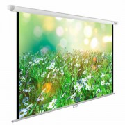 Экран Cactus WallExpert CS-PSWE-200x200-WT, 200x200 см, 1:1, настенно-потолочный, белый