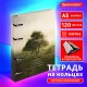 Тетрадь на кольцах А5 160х212 мм, 120 листов, картон, матовая ламинация, клетка, BRAUBERG, 'Nature', 404728