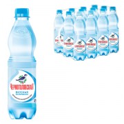 Вода негазированная минеральная 'ЧЕРНОГОЛОВСКАЯ', 0,5 л, пластиковая бутылка