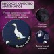 Рюкзак BRAUBERG POSITIVE универсальный, карман-антивор, 'Ducks', 42х28х14 см, 271681