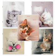 Тетради ДЭК 18 л. КОМПЛЕКТ 10 шт., BRAUBERG, клетка, обложка картон, Котики, 106757