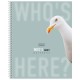 Тетрадь А5 96 л., HATBER, спираль, клетка, матовая ламинация, 'Кто здесь?' (микс в спайке), 093670, 96Т5лВ1сп