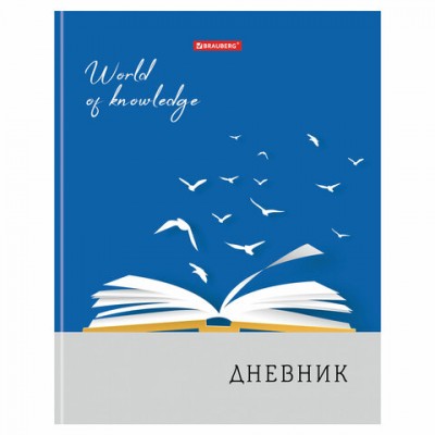 Дневник 5-11 класс, 48 л., твердый, BRAUBERG, глянцевая ламинация, с подсказом, 'Сила в знании', 105585