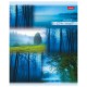 Тетрадь А5, 80 л., HATBER, скоба, линия, обложка картон, 'ПРОБУЖДЕНИЕ ПРИРОДЫ' (микс), 046931, 80Т5В2