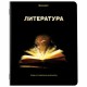 Тетради предметные, КОМПЛЕКТ 12 ПРЕДМЕТОВ, 48 л., глянцевый УФ-лак, BRAUBERG, 'SHADE', 404324