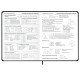 Дневник 1-11 класс 48 л., твердый, BRAUBERG, матовая ламинация, резинка, закладка-ляссе, с подсказом, 'Дракон', 107240
