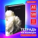 Тетрадь на кольцах А5 175х215 мм, 120 листов, твердый картон, фольга, клетка, BRAUBERG, 'Bloom', 404721