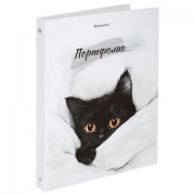 Папка-портфолио универсальная, 4 кольца, 20 файлов, 7БЦ матовая, BRAUBERG 'Cat', 107557, 117557