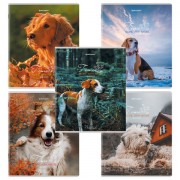 Тетради ДЭК А5 48 л. КОМПЛЕКТ 5 шт., BRAUBERG скоба, клетка, глянцевый лак, 'Собачки', 404676