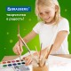 Краски акварельные BRAUBERG 12 цветов 'Кот-Энтузиаст', медовые, круглые кюветы, 192553