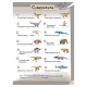 Потрясающие динозавры и другие доисторические существа. Более 80 видов животных! Давай рисовать! Гоуэн Ф., К28031