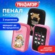 Пенал ПИФАГОР, 3 отделения, ламинированный картон, 19х11 см, АССОРТИ для девочек, 274562