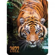 Календарь карманный на 2022 год, 70х100 мм, 'Год тигра', HATBER, Кк7
