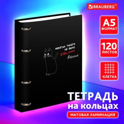 Тетрадь на кольцах А5 160х212мм, 120л, картон, матовая ламинация, клетка, BRAUBERG, Просто Кот, 404723