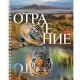 Тетрадь А5 48л. HATBER гребень, клетка, обложка картон, Отражение (4 вида в спайке),, 48Т5В1гр