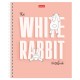 Тетрадь А5, 48 л., HATBER гребень, клетка, обложка картон, 'Следуй за белым кроликом' (микс), 087016, 48Т5В1гр