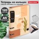 Тетрадь на кольцах А5 160х212 мм, 120 листов, картон, фольга, клетка, BRAUBERG, 'Pretty woman', 404736