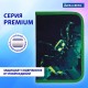 Пенал BRAUBERG, 1 отделение, 1 откидная планка, полиэстер, 21х14 см, 'Ominous spider', 273525