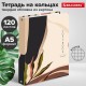 Тетрадь на кольцах А5 (175х215 мм), 120 листов, твердый картон, клетка, BRAUBERG, Vision, 404075