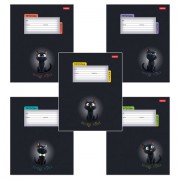 Тетрадь 18 л., HATBER клетка, обложка картон, 'Котенок уголек' (микс в спайке), 091435, 18Т5В1