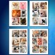 Стикербук ПРОСТО НАКЛЕЙ А6, 16 листов, 96 цветных стикеров, на гребне, BRAUBERG, 'Коты мемы', 666050