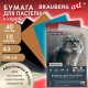 Бумага для пастели АБРАЗИВНАЯ А3 в коробке, 40 листов 10 цветов, 240 г/м2, BRAUBERG ART, 117768