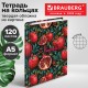 Тетрадь на кольцах А5 175х215 мм, 120 листов, твердый картон, фольга, клетка, BRAUBERG, 'Pomegranate', 404720