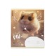 Тетрадь 12л. ErichKrause клетка, обложка картон, Fluffy, (микс в спайке), 63248