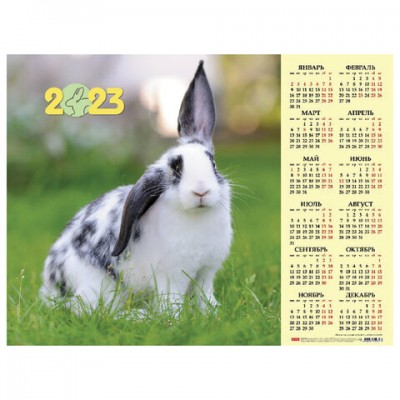 Календарь настенный листовой, 2023г, формат А2 60х45см, Год Кролика2, HATBER, Кл2_280, Кл2_28014