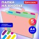 Папка-органайзер на кнопке 5 отделений, BRAUBERG 'Extra', А4, персиковая с мятным, 274097