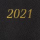 Ежедневник датированный 2021 А5 (138х213 мм) BRAUBERG 'Iguana', кожзам, черный, 111379