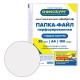 Папки-файлы перфорированные ОФИСБУРГ, А4, комплект 100 шт., гладкие, 30 мкм, 227525