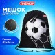 Мешок для обуви ПИФАГОР, 1 отделение, 42х34 см, 'Ball kick', 272386