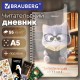 Дневник читательский А5, 58 листов, гребень, пластиковая обложка, картон, BRAUBERG, 'Котик', 118520