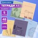 Тетради ДЭК А5 48 л. КОМПЛЕКТ 5 шт. BRAUBERG скоба, клетка, матовая ламинация, СИЛУЭТЫ, 404921