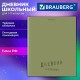 Дневник 1-11 класс 40 л., твердый, BRAUBERG, глянцевая ламинация, 'Однотонный', 107607