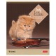 Тетрадь А5, 48 л., HATBER, скоба, линия, обложка картон, 'КОТЯТА' (микс в спайке), 047012, 48Т5В2