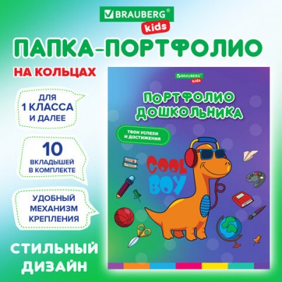 Папка-портфолио дошкольника, А4, 4 кольца, 20 файлов, 10 вкладышей, МАЛЬЧИК, BRAUBERG, 115238