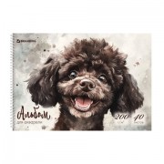 Альбом для акварели А4 40 л., бумага 200 г/м2, гребень, твердая подложка, BRAUBERG, 'Пудель', 116885