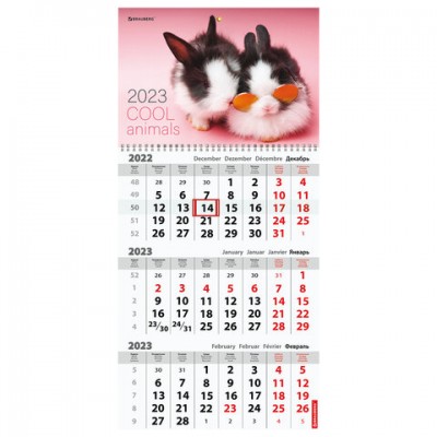 Календарь квартальный 2023 г., 3 блока, 1 гребень, с бегунком, офсет, 'COOL BUNNIES', BRAUBERG, 114239