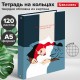 Тетрадь на кольцах А5 (175х215 мм), 120 листов, твердый картон, клетка, BRAUBERG, In Dreams, 404084