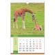 Календарь на гребне с ригелем, 2023 г., 30х45 см, ЛЮКС, 'Animals', HATBER, 12Кнп3гр_26042